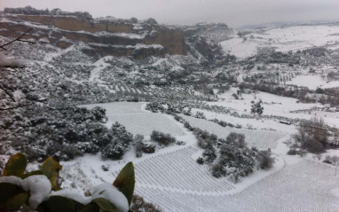 Viñedo de Ronda nevado