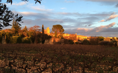 Vista de los viñedos