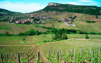 Vista de Vergisson desde el viñedo