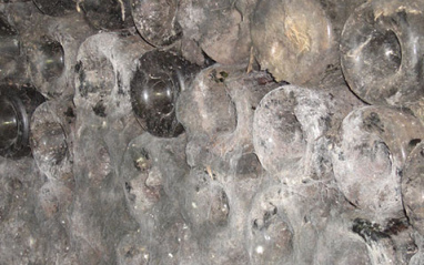 Viejo botellero de la propiedad