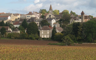 Vista del viñedo con el pueblo al fondo
