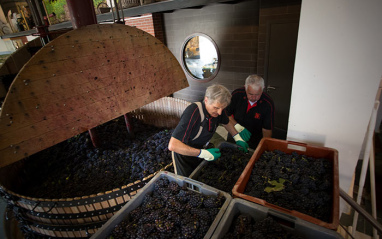 Llegada a la bodega