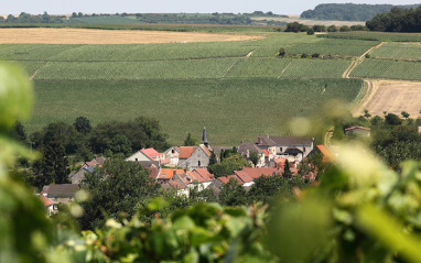 Paisaje de Champagne