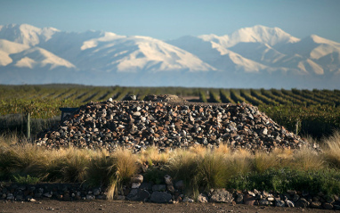 Viñedos con paisaje nevado