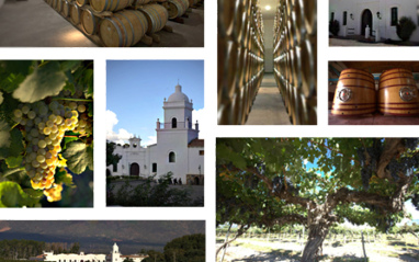 Collage de la bodega