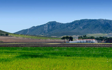 Entorno de la bodega