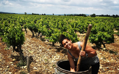 Vendanges