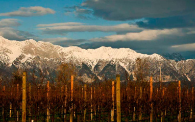 Viñedo entre hermosas montañas.