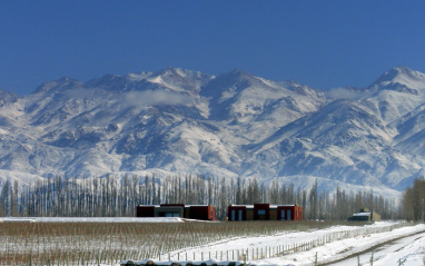 La altitud y el clima condicionan el cultivo de la vid