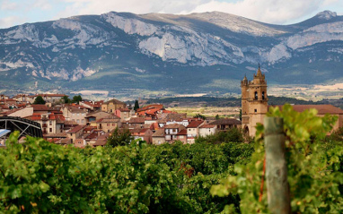 Vistas de Elciego desde el viñedo