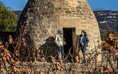 Guardaviñas en el viñedo de La Rad