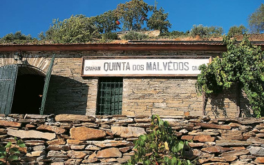 Bodega