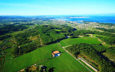 Vista aérea de los terrenos