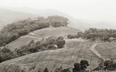 Vista de Harlan Estate