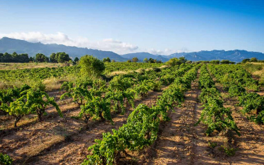 Panorámica de paisaje