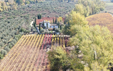 Vista aérea de la bodega