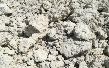 Albariza
