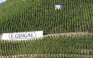 Viñedo La Turque en Cote Brune