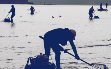 Pesca y recolección de marisco