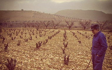 Viñedo La Tierga