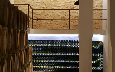 Interior de la bodega