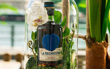 Composición tropical con botella de ron La Hechicera