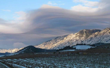 Viñedos nevados