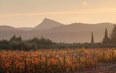 Panorámica de la propiedad