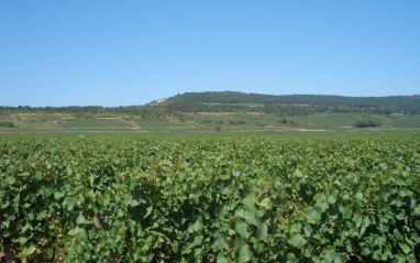 Paisaje de Borgoña