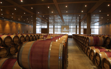 Interior de la bodega