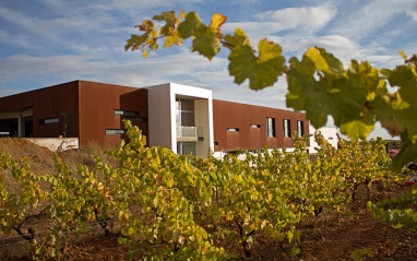 Vista de la bodega