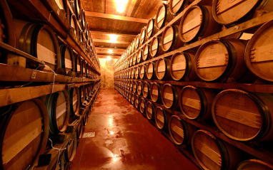 Bodega