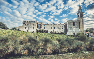 Viñedo
