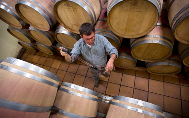 Jordi Torrella en la bodega