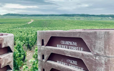 Cajas de la vendimia