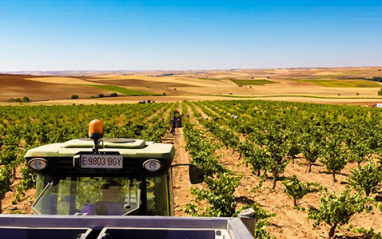 Tractor recogiendo la cosecha