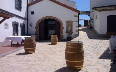 Barricas en el exterior de la bodega