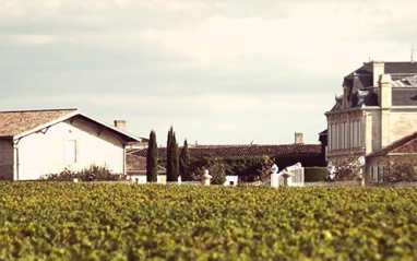 Edificio de la bodega y viñedos