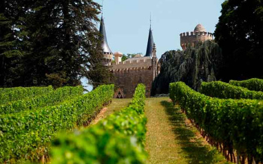 Viñas con el château al fondo