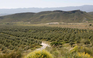 Vista de la finca