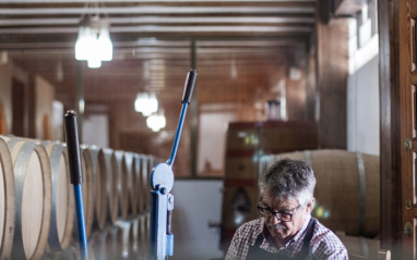 Vicente en la bodega