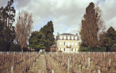 Panorámica del viñedo y el Château