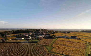 Panorámica del viñedo