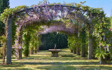 Jardines de Pazo Pegullal