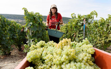 Clara es la tercera generación al frente de la bodega