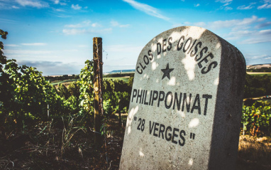 Su parcela más famosa Clos des Goisses