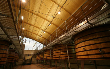 Interiores Bodega Pintia