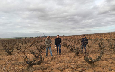 Viticultores de Manchuela