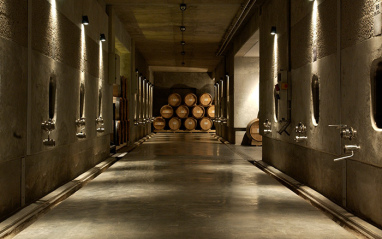 Interior de la bodega