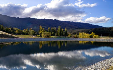 Viñedo pegado al lago del valle